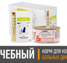 Диабетик