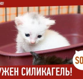 Силикагель