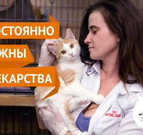 Нужны лекарства!