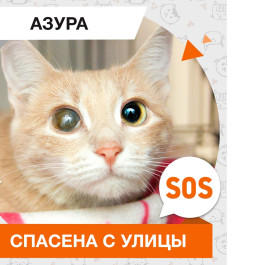 Азура