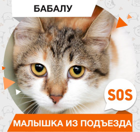 Бабалу