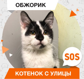 Обжорик
