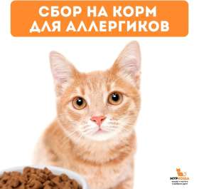Сбор на корм для Аллергиков