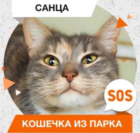 Санца