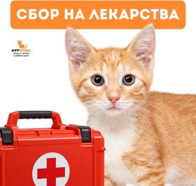 Лекарственные препараты