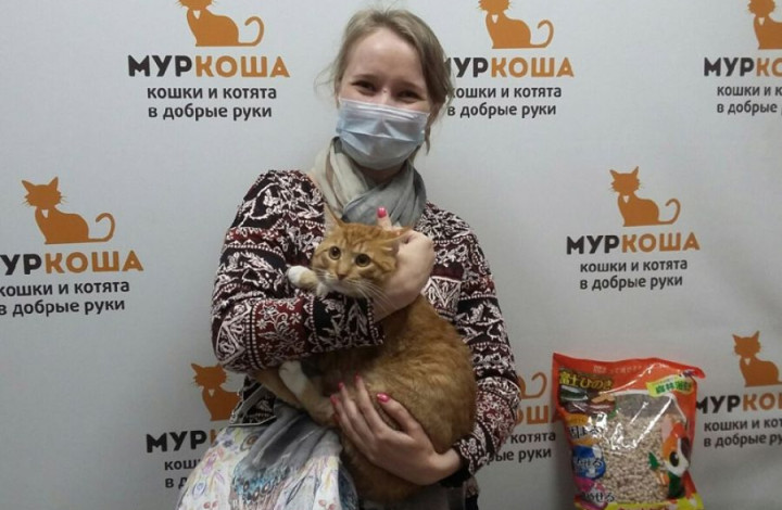  Сыр
