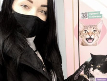 Двери НЕ закpываются или "Хвостики и лапки"