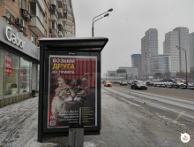 Время пушистых новостей