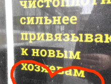 Время пушистых новостей
