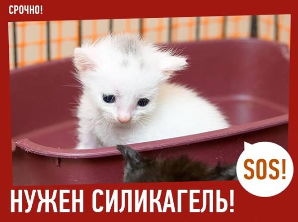 Силикагель