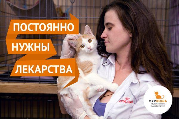 Нужны лекарства!