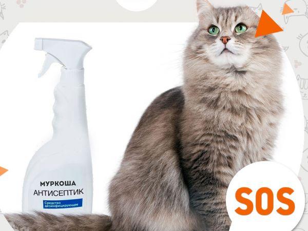 Дезинфецирующие средства
