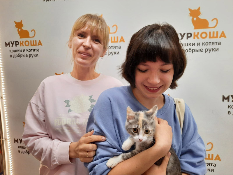 Кошки рифма. Рифмуется с Cat