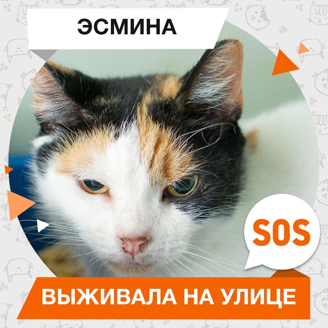 Эсмина