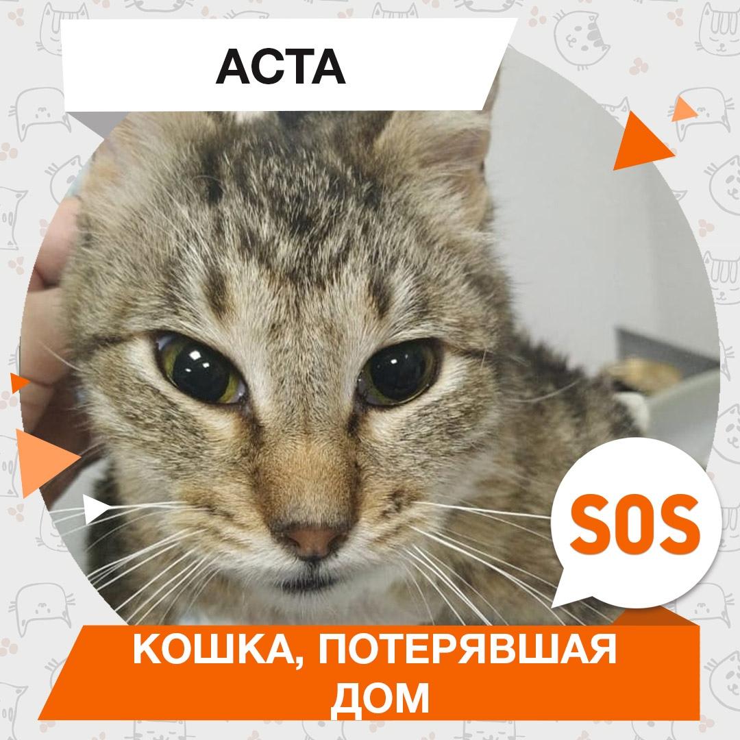 Аста