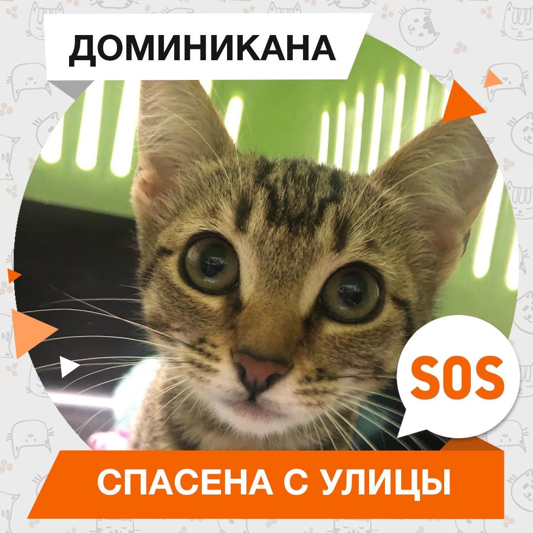 Доминикана