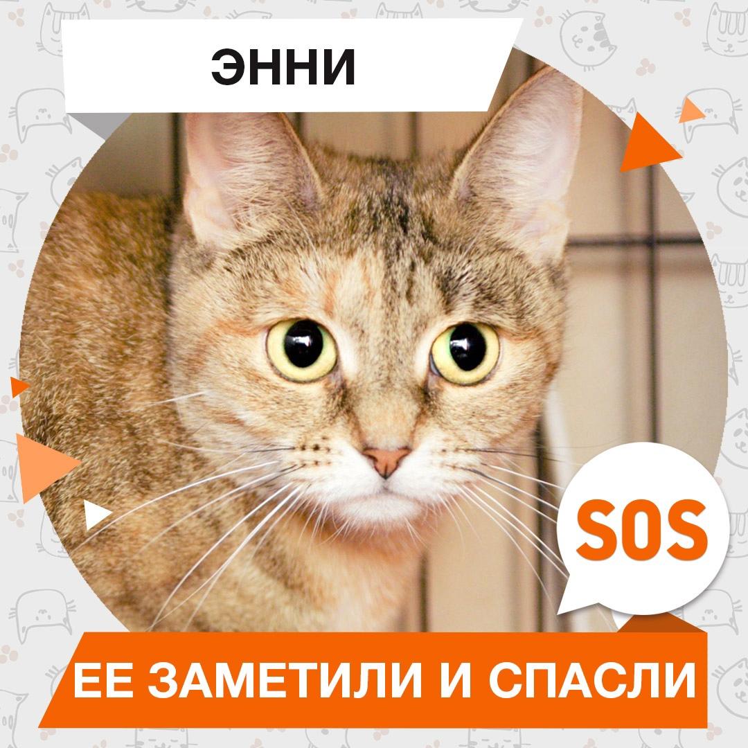 Энни