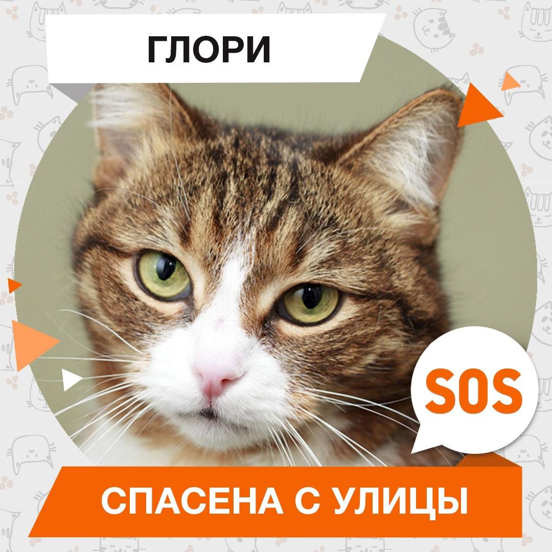 Глори