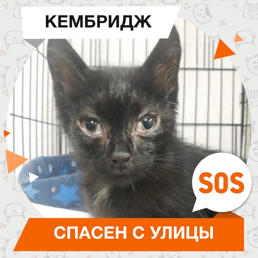 Кембридж