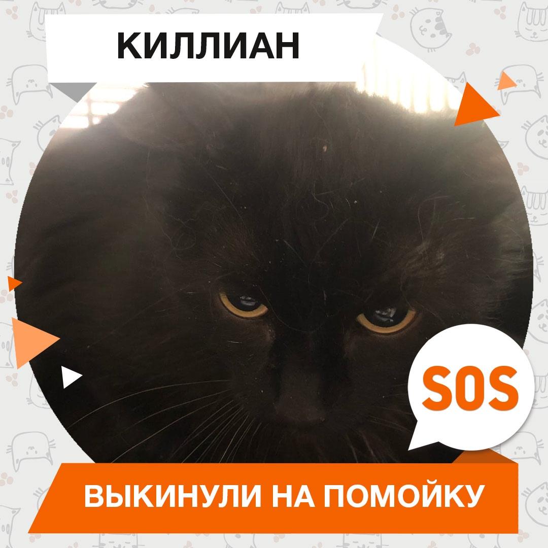 Киллиан