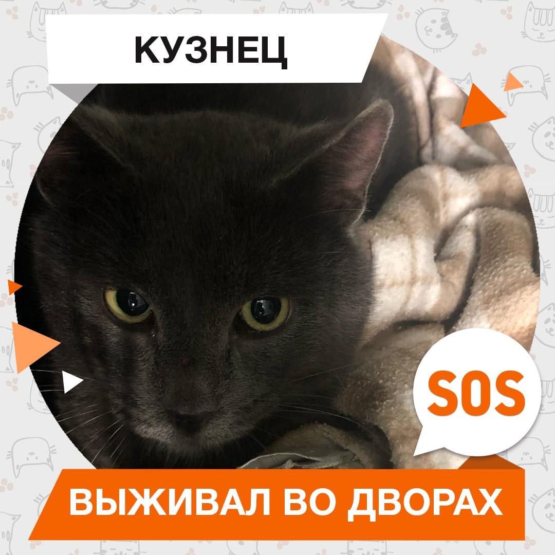 Кузнец