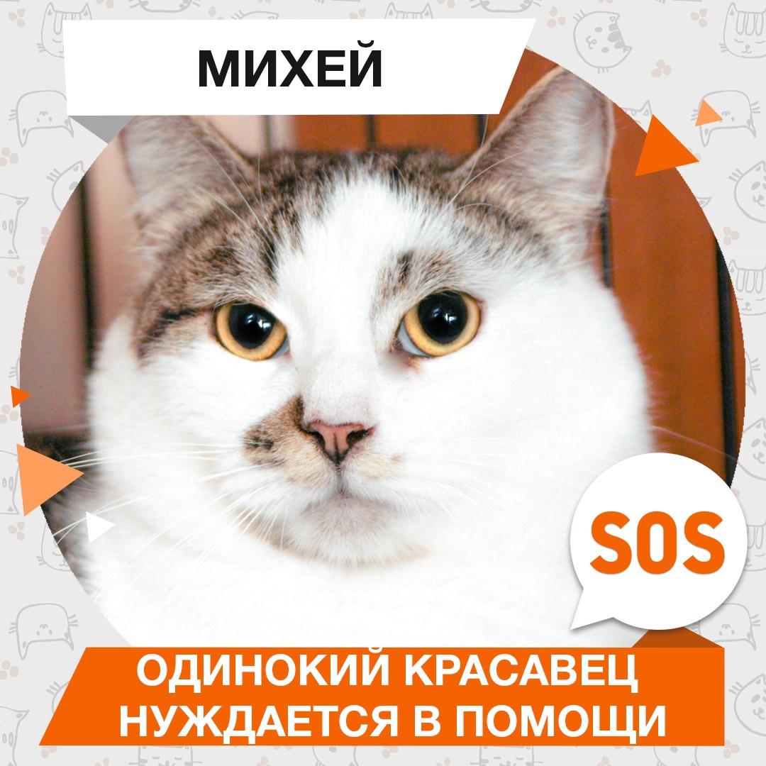 Михей