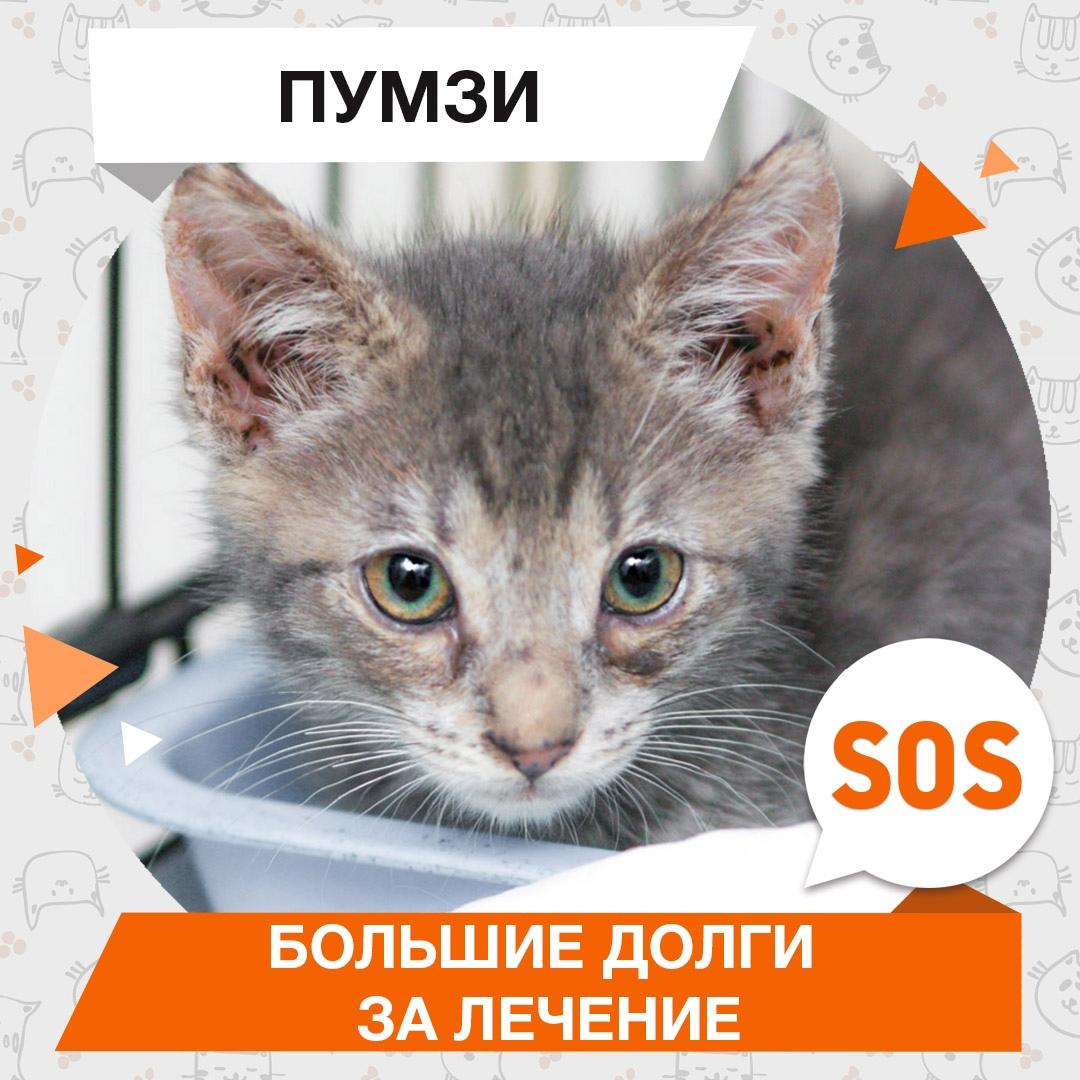 Пумзи