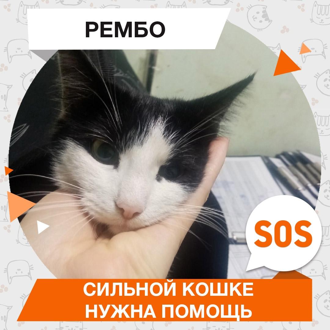 Рембо