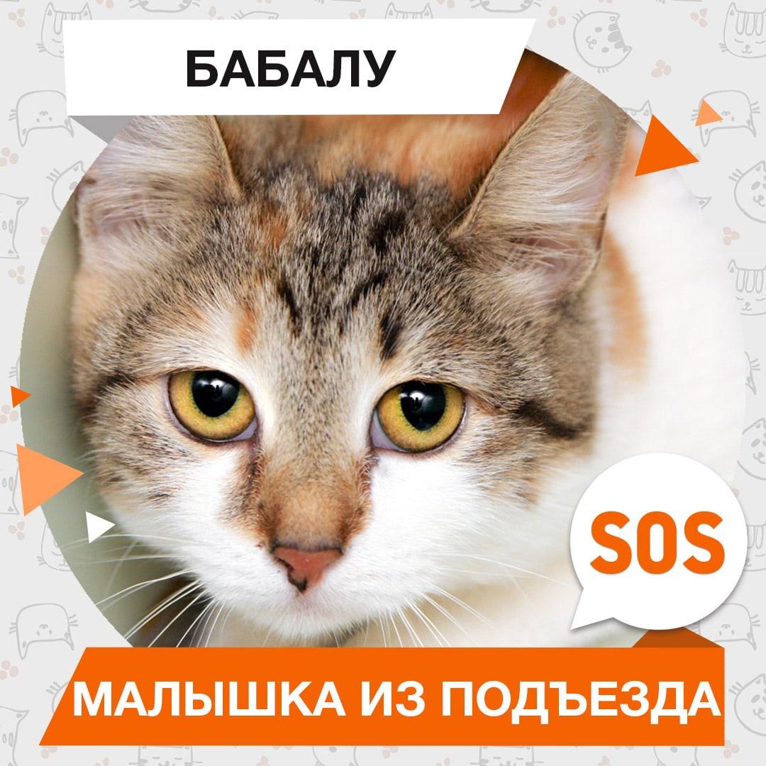 Бабалу