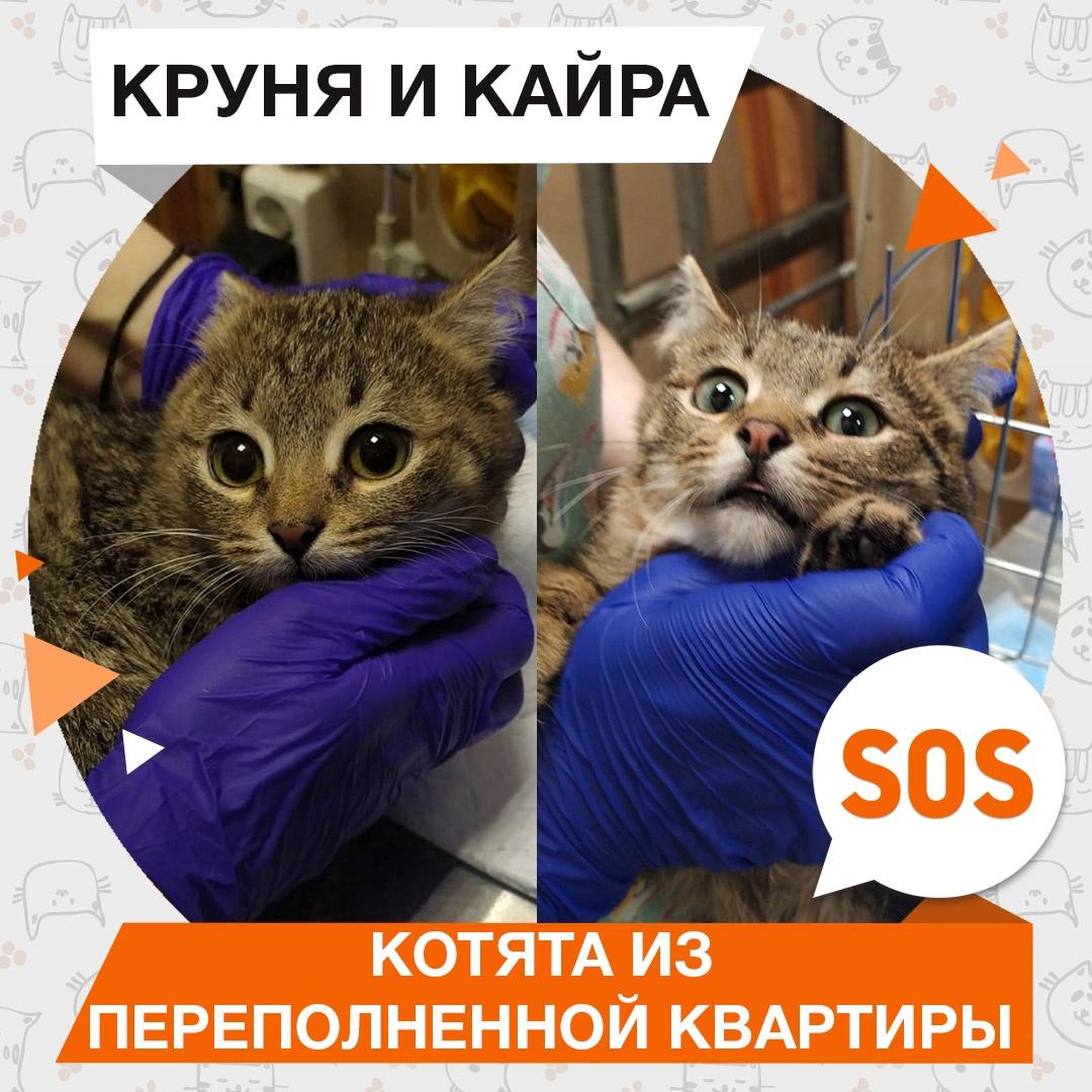 Круня и Кайра