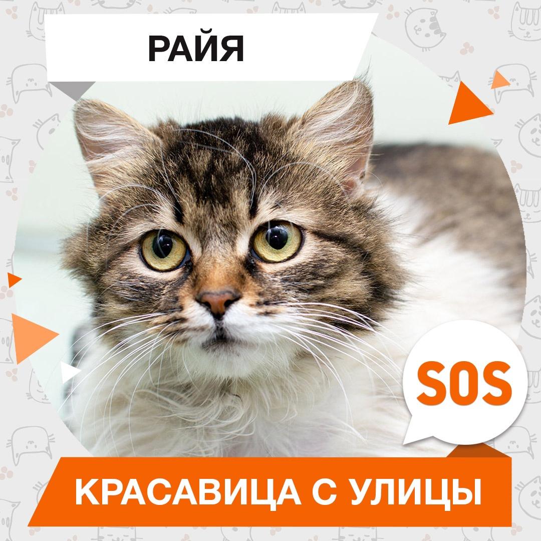 Райя