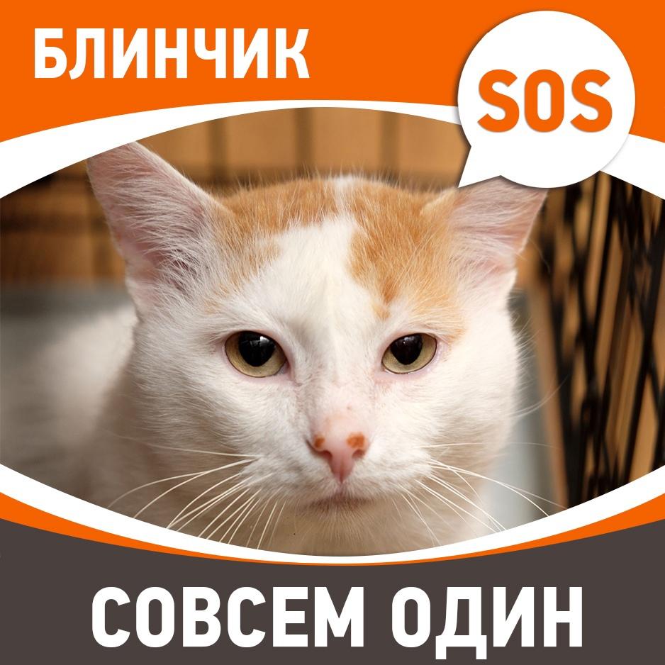 Блинчик