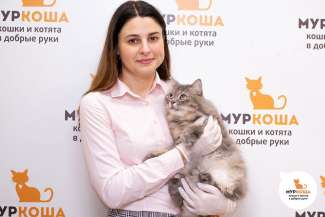 Ирина