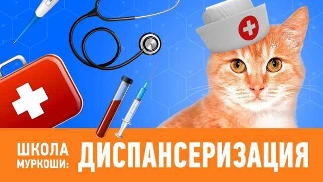 Embedded thumbnail for Диспансеризация - Школа &quot;Муркоши&quot; #10