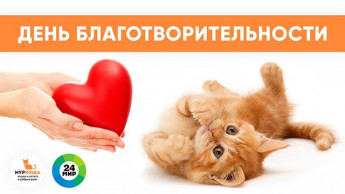 Добро здесь и сейчас: почему стоит заниматься благотворительностью и как правильно это делать?