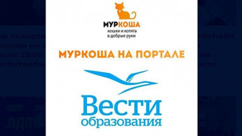 Дети, которые меняют мир!