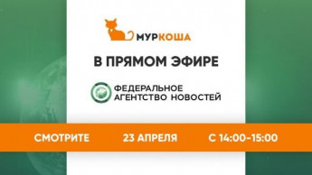 "Муркоша" в прямом эфире