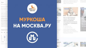 "Муркоша" на Москва.ру