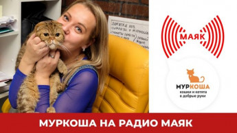 Друзья! В наши непростые, но домашние дни самое время - послушать радио!