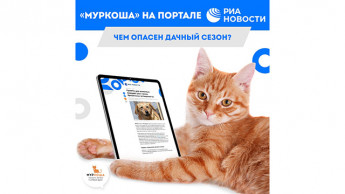 "О, этот ужасный дачный сезон..."