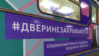 Время пушистых новостей! Тиара нашла новый дом!