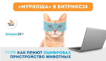 "Муркоша" в БИТРИКС24