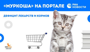 Дефицит лекарств и кормов