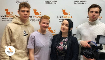 Сюжет про котиков из Мариуполя