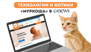 "МУРКОША" в CNews
