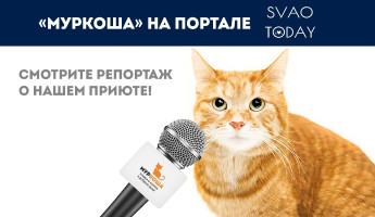 "Муркоша" на портале SVAO TODAY