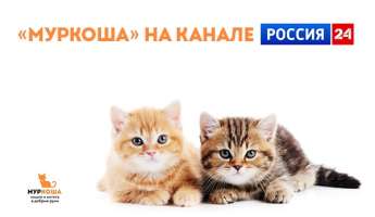 Комментарий "Муркоши"в передаче "Парламентский час"