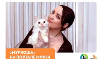 "Муркоша" на портале "МИР24"