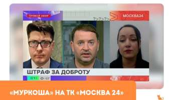 "Муркоша" в прямом эфире ТК "Москва24"