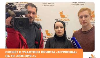 Сюжет с участием "Муркоши" на ТК "Россия-1"